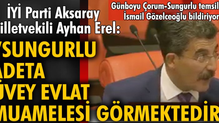 İYİ Parti Aksaray Milletvekili Ayhan Erel: 