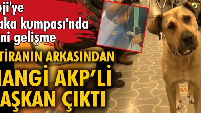 Boji'ye 'kaka kumpası'nda yeni gelişme! İftiranın arkasından hangi AKP’li başkan çıktı