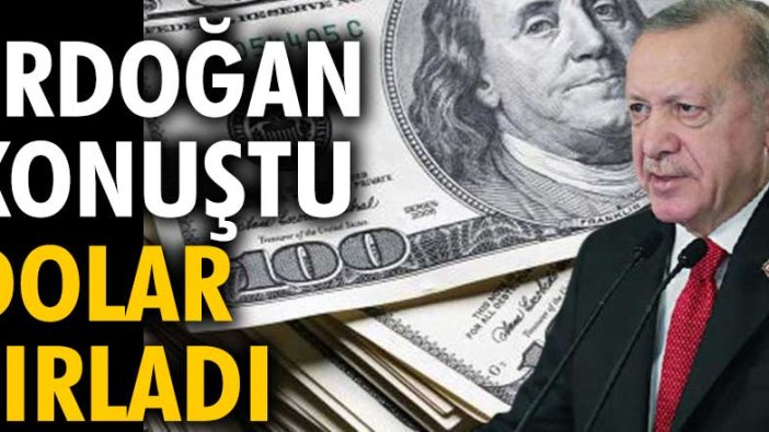 Erdoğan konuştu dolar fırladı