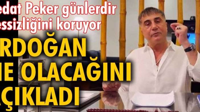 Sedat Peker günlerdir sessizliğini koruyor! Erdoğan ne olacağını açıkladı