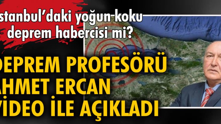 İstanbul'daki yoğun koku deprem habercisi mi? Deprem profesörü Ahmet Ercan video ile açıkladı