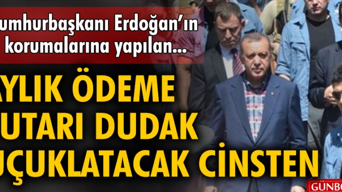 Cumhurbaşkanı Erdoğan'ın korumalarına yapılan aylık ödeme tutarı dudak uçuklatacak cinsten