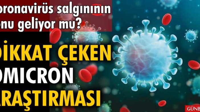 Koronavirüsün sonu geliyor mu? Dikkat çeken omicron araştırması
