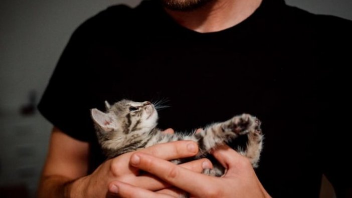 Sosyal medyada kediyle poz veren erkeklere kötü haber