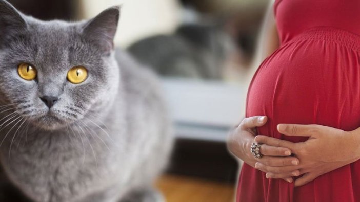 Görülmemiş olay! Kedisi yüzünden hamile kaldı