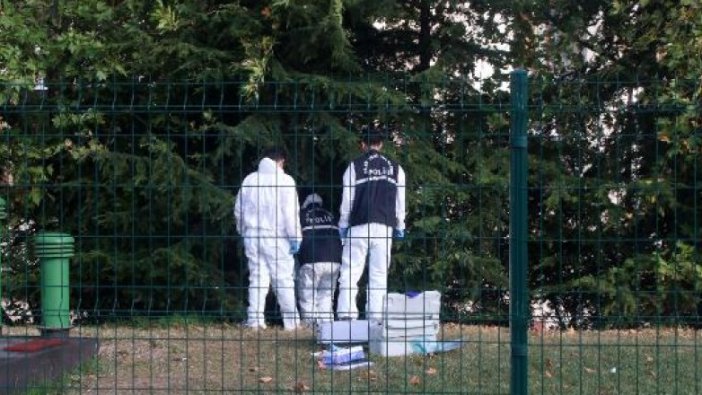 İstanbul'da vahşet! Ağaca asılı ceset bulundu