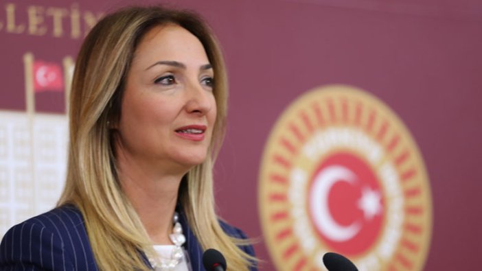 CHP'li Aylin Nazlıaka hakkında suç duyurusu