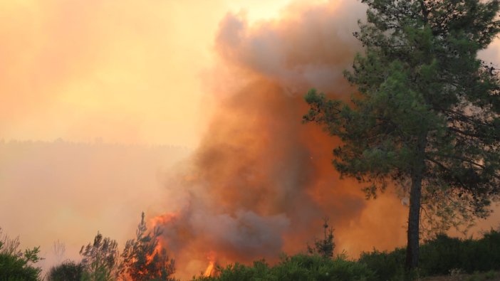 Adana Kozan'daki orman yangını söndürülemiyor