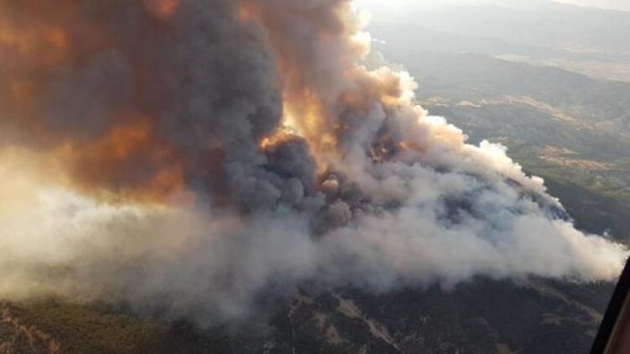 Ankara'da orman yangını söndürülemedi